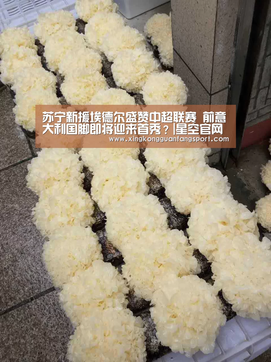 苏宁新援埃德尔盛赞中超联赛 前意大利国脚即将迎来首秀?|星空官网(图4) 星空平台
