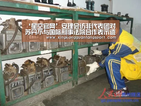 ‘星空官网’安理会访非代表团对苏丹不与国际刑事法院合作表示遗憾(图4) 星空官方
