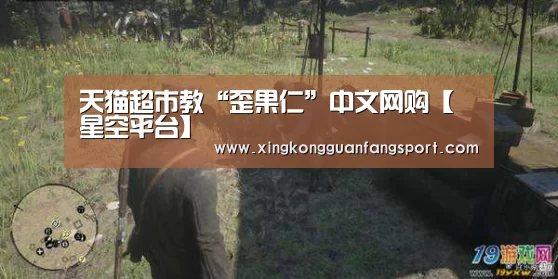 天猫超市教“歪果仁”中文网购【星空平台】(图1) 星空登录