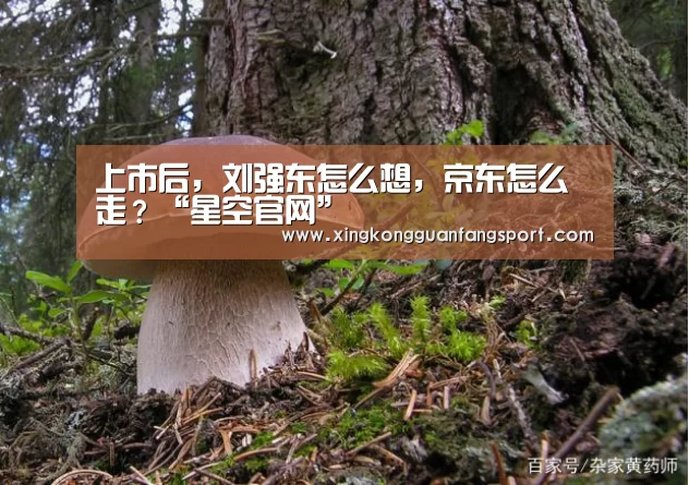 星空登录